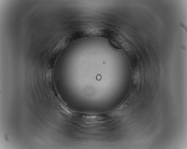 X0000098160473200804241808