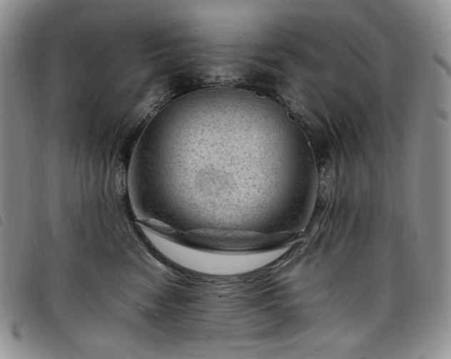X0000098160474200804241808