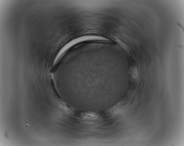 X0000098160475200804241808