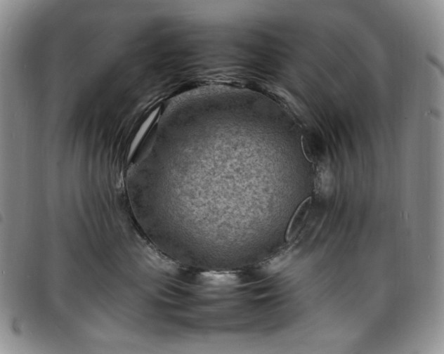 X0000098160477200804241808