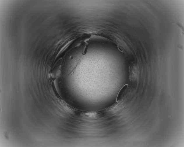 X0000098160478200804241808
