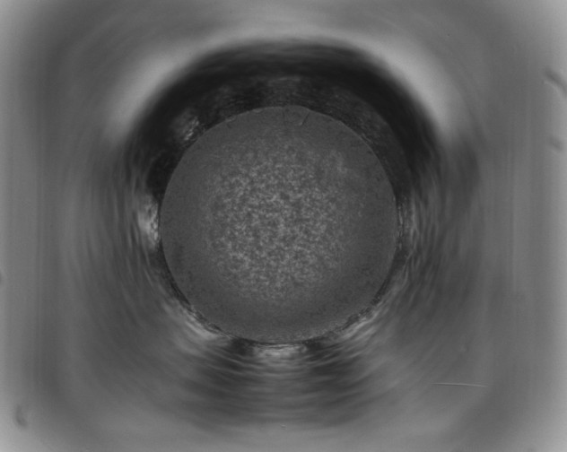 X0000098160479200804241808