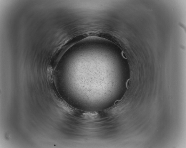 X0000098160480200804241808