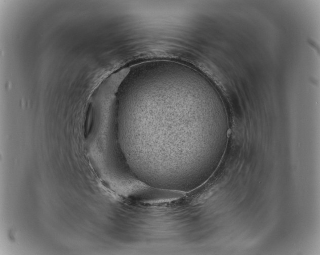 X0000098160481200804241807