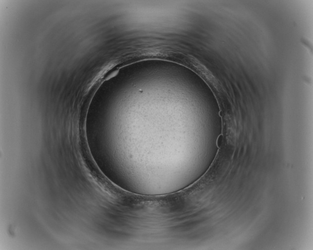 X0000098160482200804241807