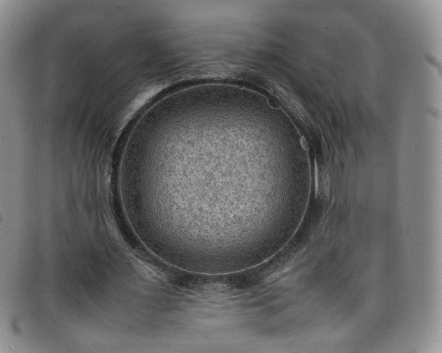 X0000098160483200804241807