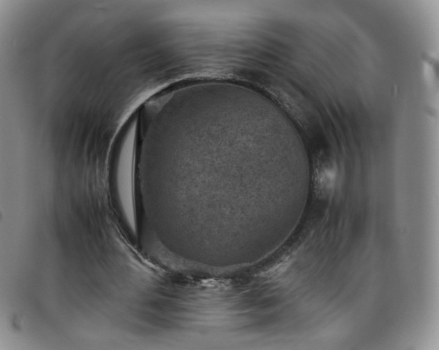 X0000098160484200804241807