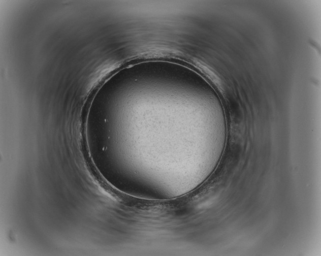 X0000098160485200804241807