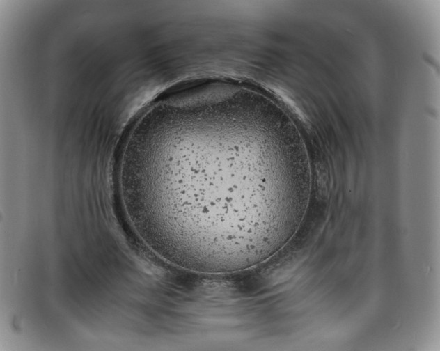 X0000098160487200804241807