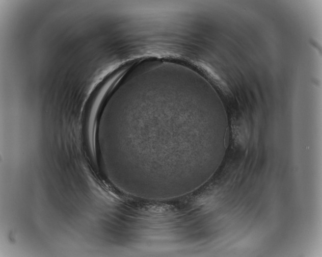 X0000098160488200804241807