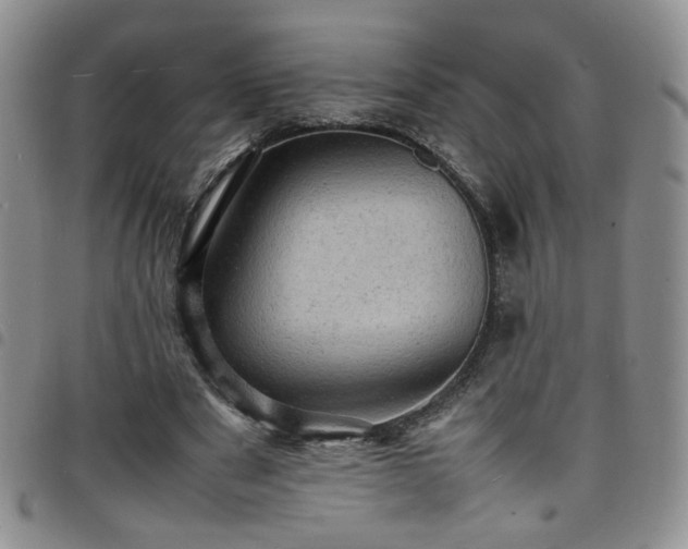 X0000098160489200804241807