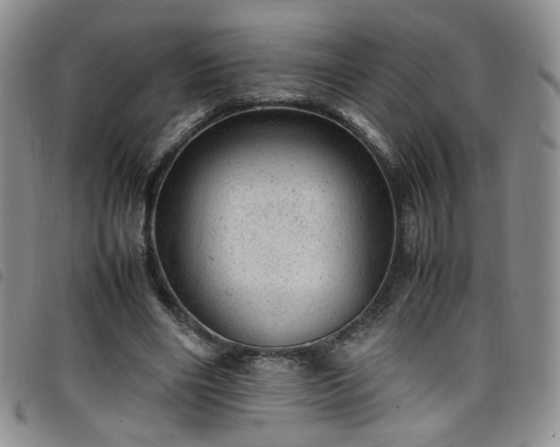 X0000098160490200804241807