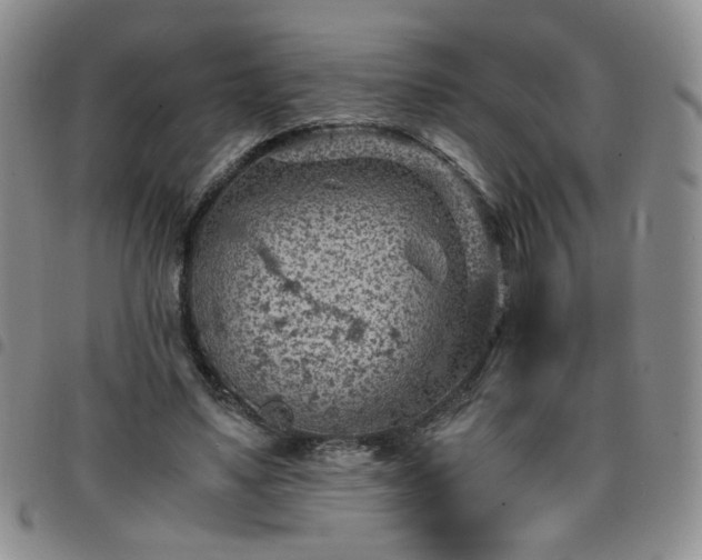 X0000098160491200804241807