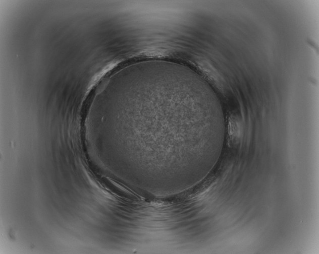 X0000098160492200804241807
