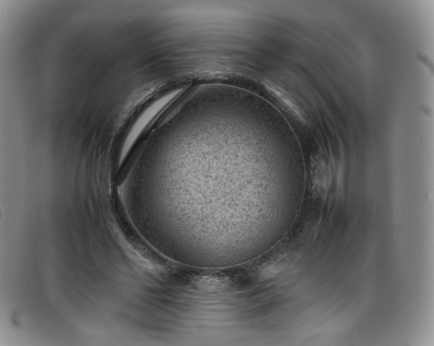 X0000098160494200804241807