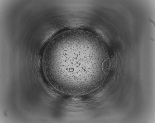 X0000098160495200804241807