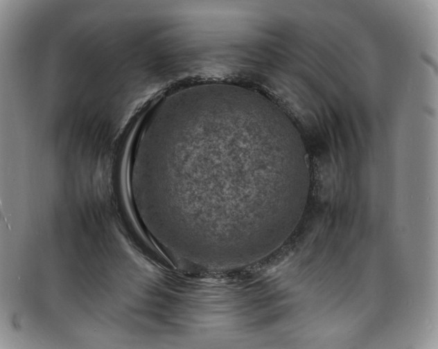 X0000098160496200804241807