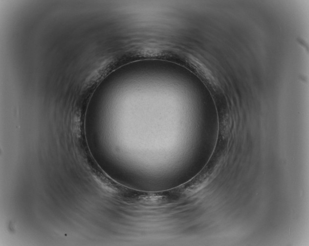 X0000098160497200804241807