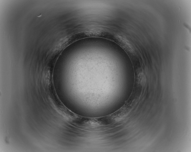 X0000098160498200804241807