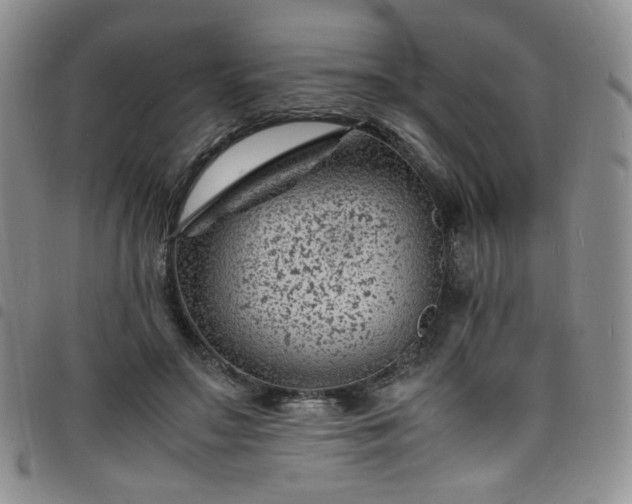 X0000098160499200804241807