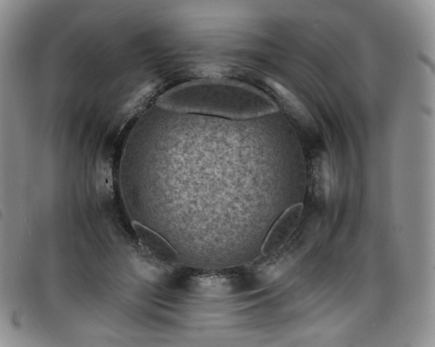 X0000098160500200804241807