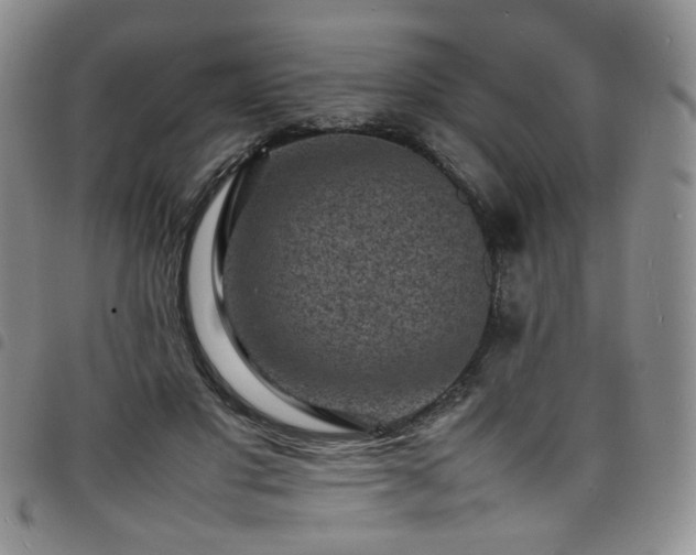 X0000098160501200804241807