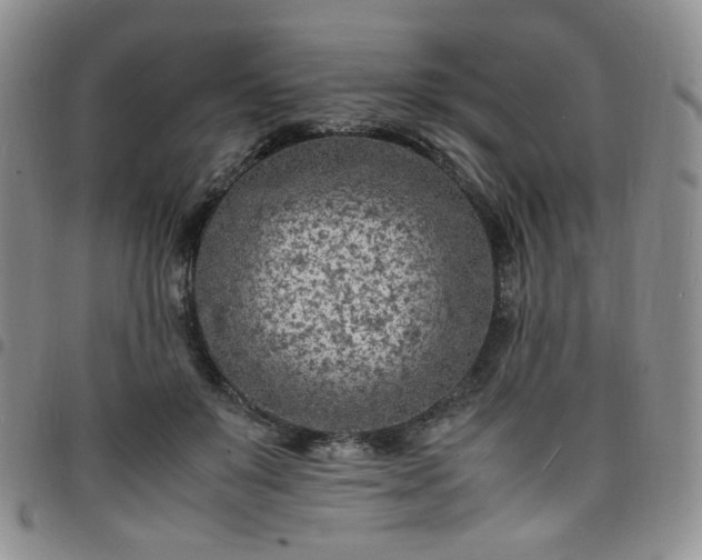 X0000098160503200804241807