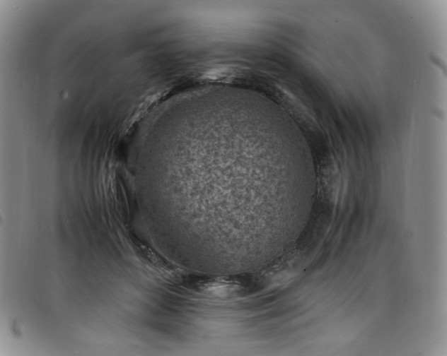X0000098160504200804241807