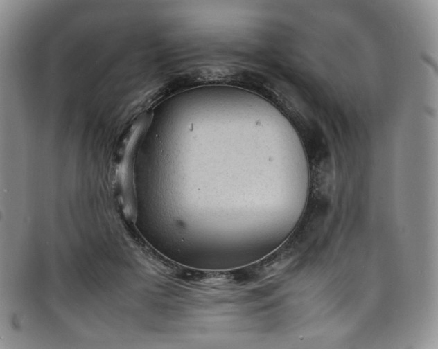 X0000098160505200804241807