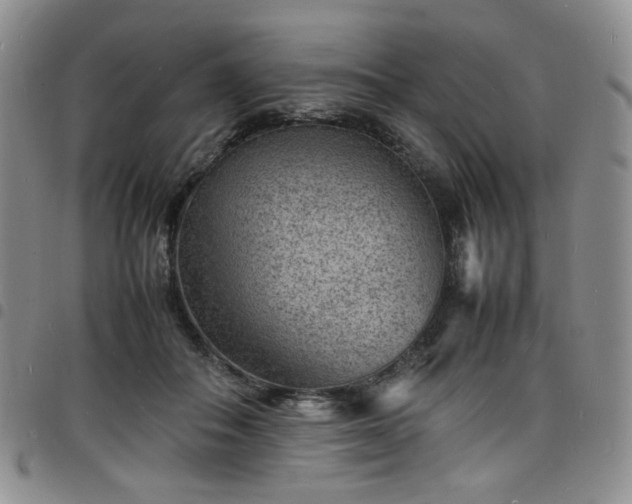 X0000098160506200804241807