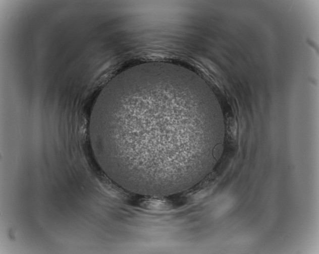 X0000098160507200804241807