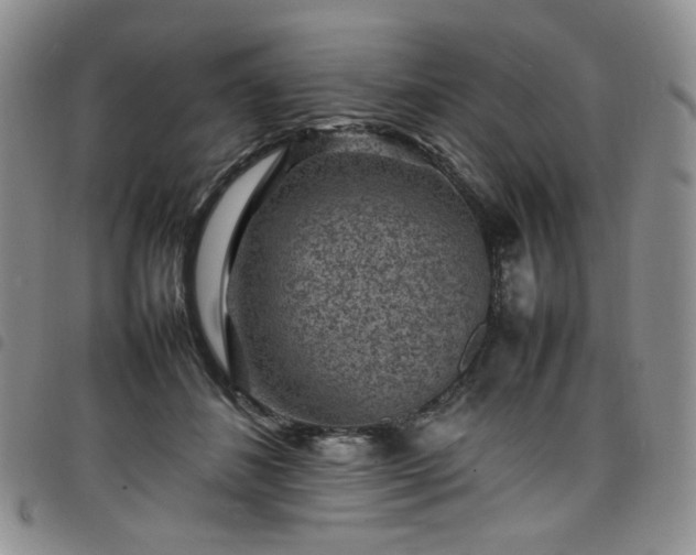 X0000098160508200804241807