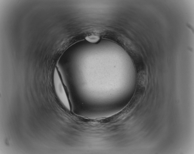 X0000098160509200804241807