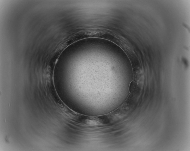 X0000098160510200804241807
