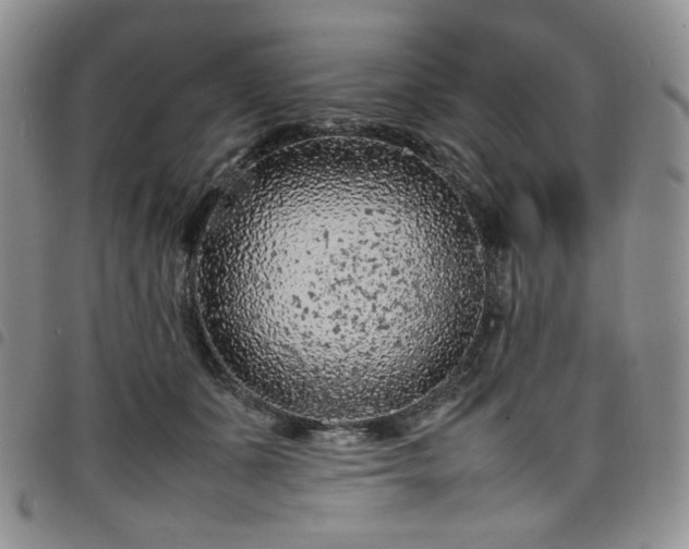 X0000098160511200804241807