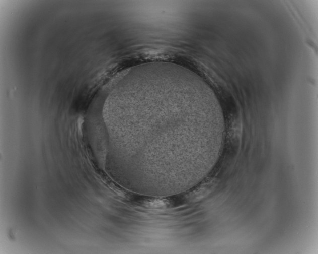 X0000098160513200804241807