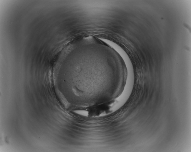 X0000098160514200804241807