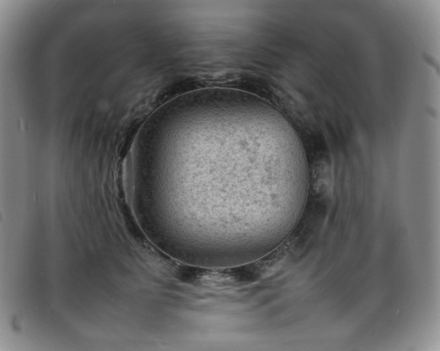 X0000098160515200804241807