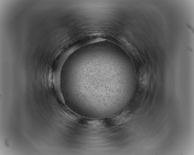 X0000098160516200804241807