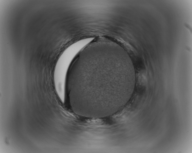 X0000098160517200804241807