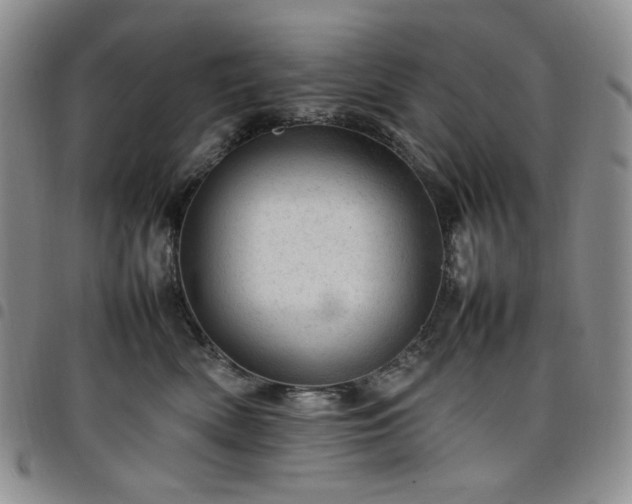 X0000098160522200804241806