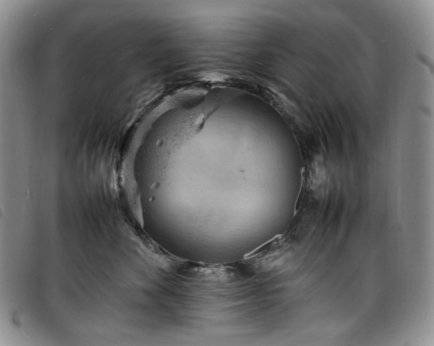 X0000098160524200804241806