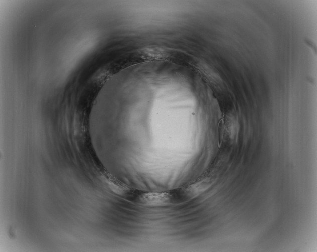 X0000098160526200804241806
