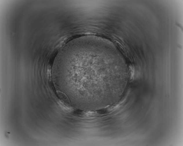 X0000098160527200804241806
