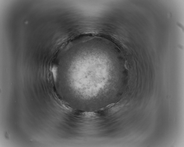 X0000098160528200804241806