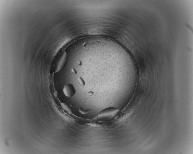 X0000098160530200804241806