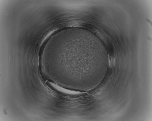 X0000098160531200804241806