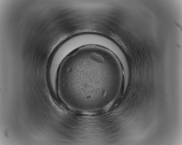 X0000098160534200804241806