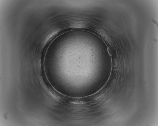 X0000098160535200804241806