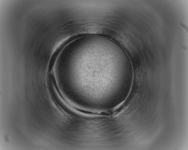 X0000098160536200804241806
